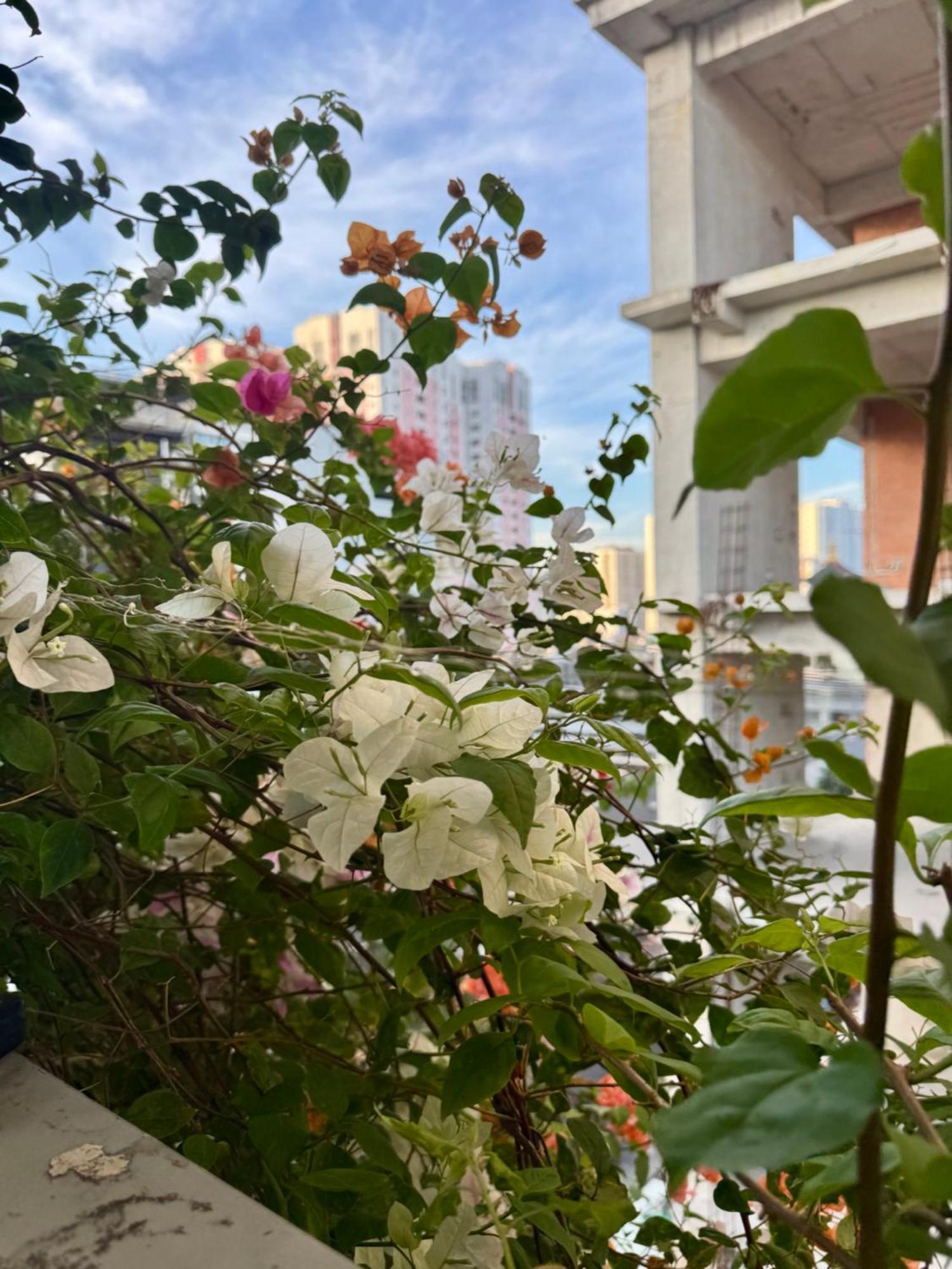 Vu Binh 64 Nhà khách