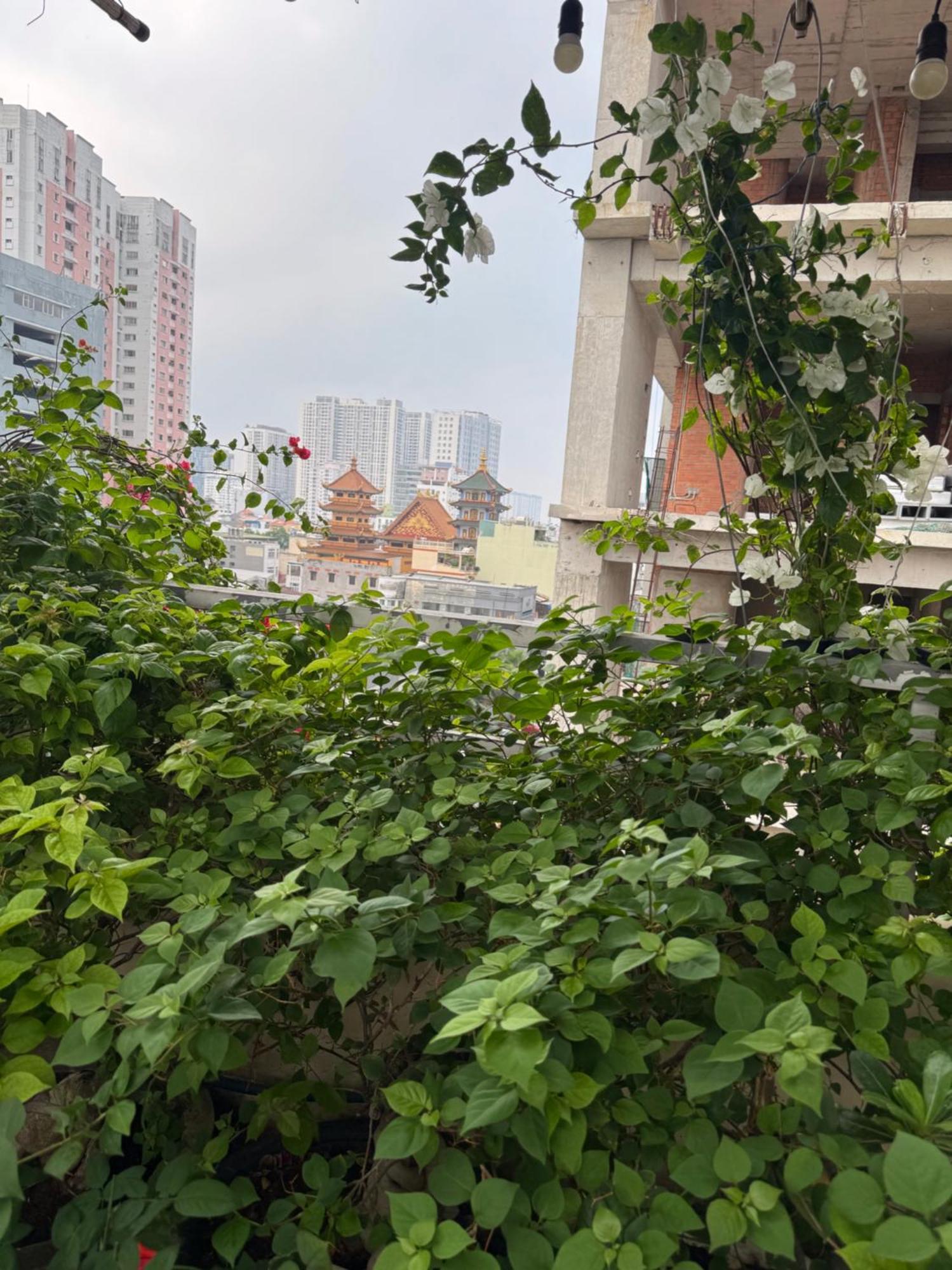 Nhà khách Vu Binh 64 *